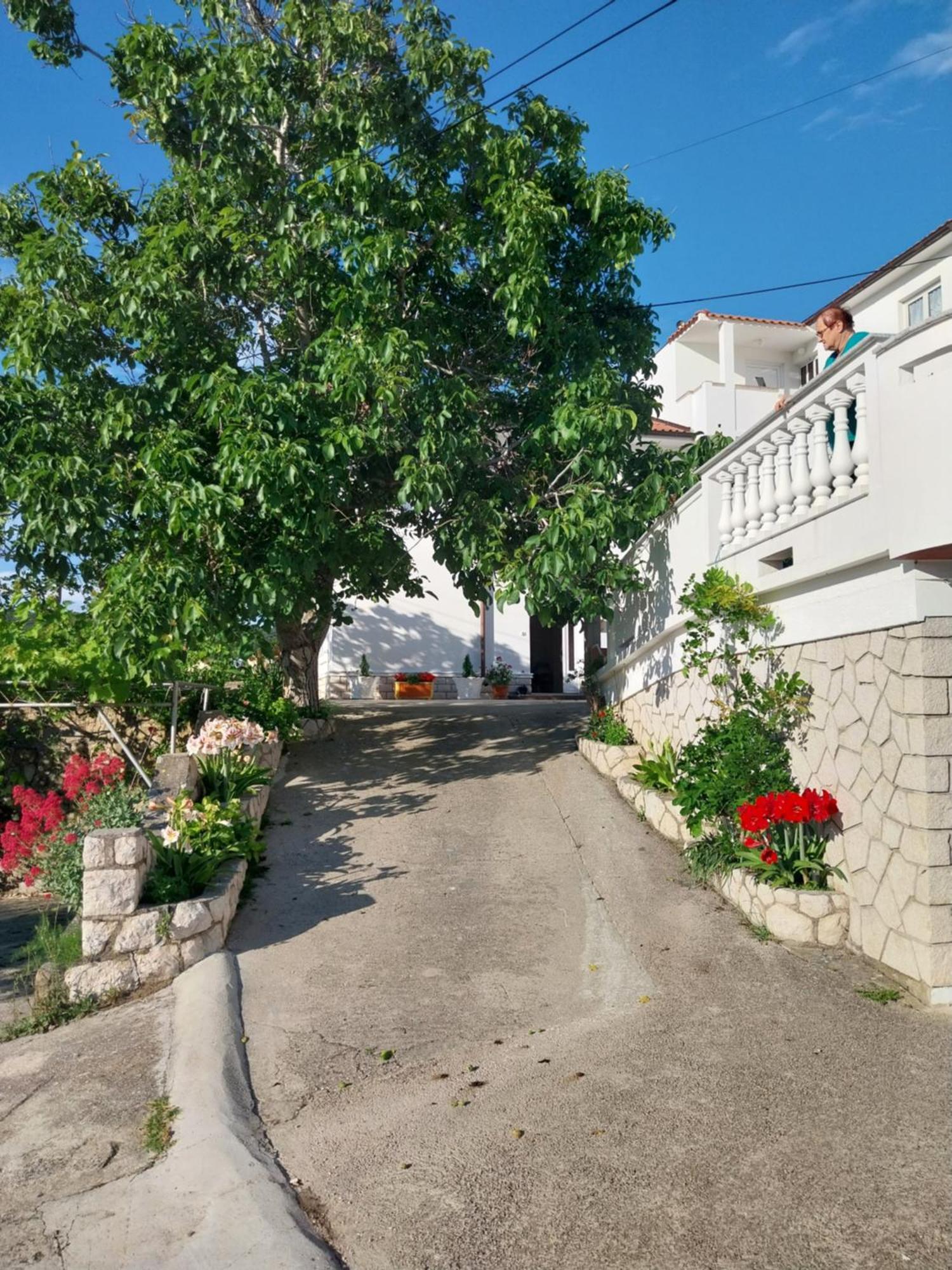 Ljubica Apartments And Rooms Supetarska Draga Exteriér fotografie
